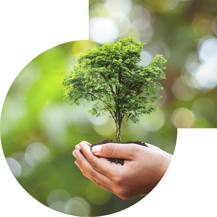 关怀人类、文化、环境与社会